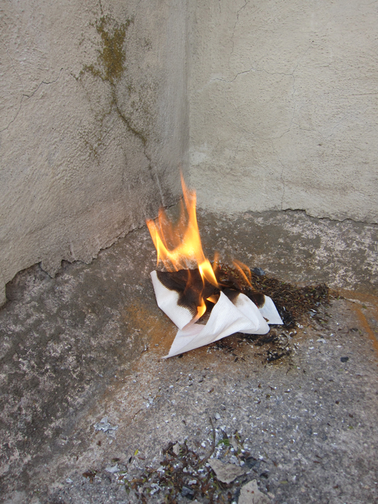 archivodiario-burning-paper9.jpg